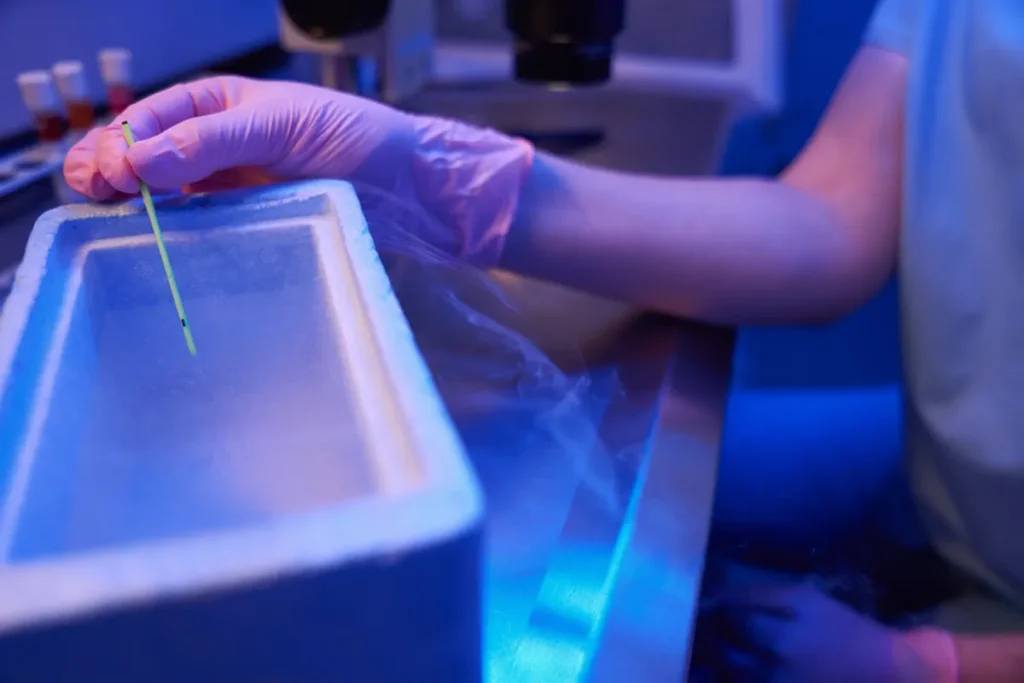 Procedimiento ginecológico de fertilidad